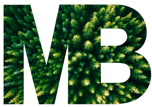 Creative MB letters with forest texture symbolizing growth and sustainability